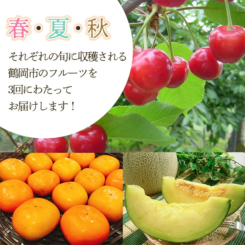 【令和8年産先行予約】 鶴岡から春夏秋のフルーツ定期便【3回お届け】山形県鶴岡産　株式会社 元青果