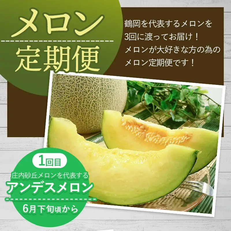 【令和8年産先行予約】 メロン好きのメロン定期便 【3回お届け】 山形県鶴岡市産　株式会社 元青果　| メロン めろん 山形 鶴岡 庄内 庄内産 東北 フルーツ 果物 くだもの 夏 旬 人気 おすすめ 美味しい お取り寄せ 返礼品