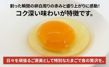 【黄身がつかめる！ブランド卵】TOCO-tori EGG ギフトBOX 卵 9個入り 高級卵 たまご 五島市 / 五島列島大石養鶏場 [PFQ001]  玉子 タマゴ 鶏卵 希少 五島列島