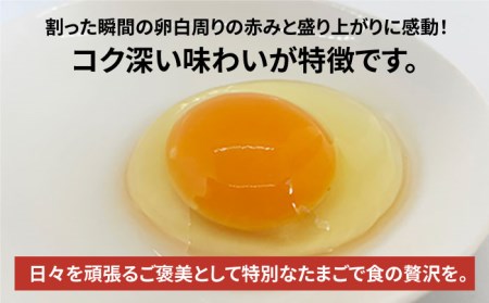 【黄身がつかめる！ブランド卵】TOCO-tori EGG おうち贅沢ボックス 卵 20個入 高級卵 たまご 五島市 / 五島列島大石養鶏場 [PFQ002]  玉子 タマゴ 鶏卵 希少 五島列島
