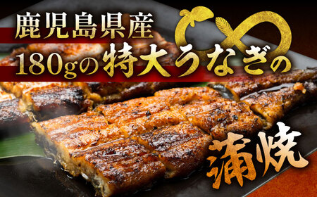 国産 うなぎ 蒲焼 特大1尾 /すみまる [UDH009] うなぎ