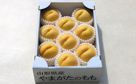 【先行受付 令和8年度発送】山形もぎたて黄桃3kg ギフト箱入り もも モモ 桃 デザート フルーツ 果物 くだもの 果実 食品 山形県 FSY-2536