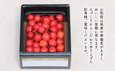 【先行受付 令和8年度発送】山形県産 朝摘みさくらんぼ 紅秀峰500g ギフト箱入り FSY-0346