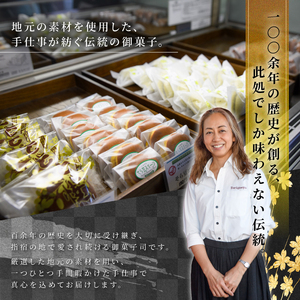 南薩指宿の郷土菓子 よもぎ餅 22個入り 鳥越屋 IB055-004 和菓子 和菓子