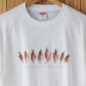 世界で唯一!着る山菜!!【みょうがTシャツ・ホワイト】 半袖 ファッション メンズ レディース 洋服 新潟  XLサイズ