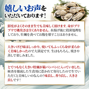 牡蠣 厚岸のブランド牡蠣 マルえもん 3Lサイズ 40個 生食用 魚貝類 海鮮 海のミルク 国産 生食用殻付き牡蠣 まろやか クリーミー 食べやすい品種 海の香り 牡蠣の酒蒸し 焼き牡蠣 マルえもん