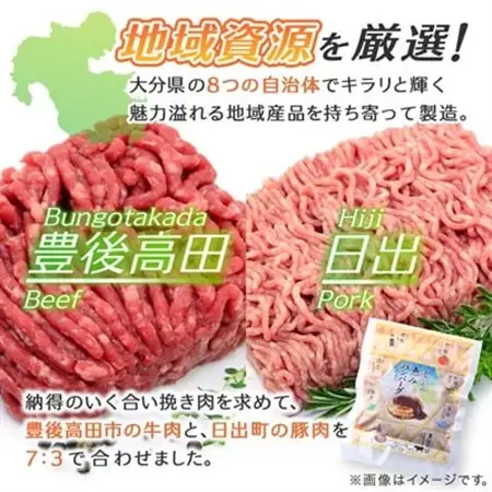 大分の恵みハンバーグ 1.6kg (160g×10個)(日出町)_肉 ハンバーグ 牛肉   肉 ハンバーグ 豚肉 _【配送不可地域：離島】【1373904】
