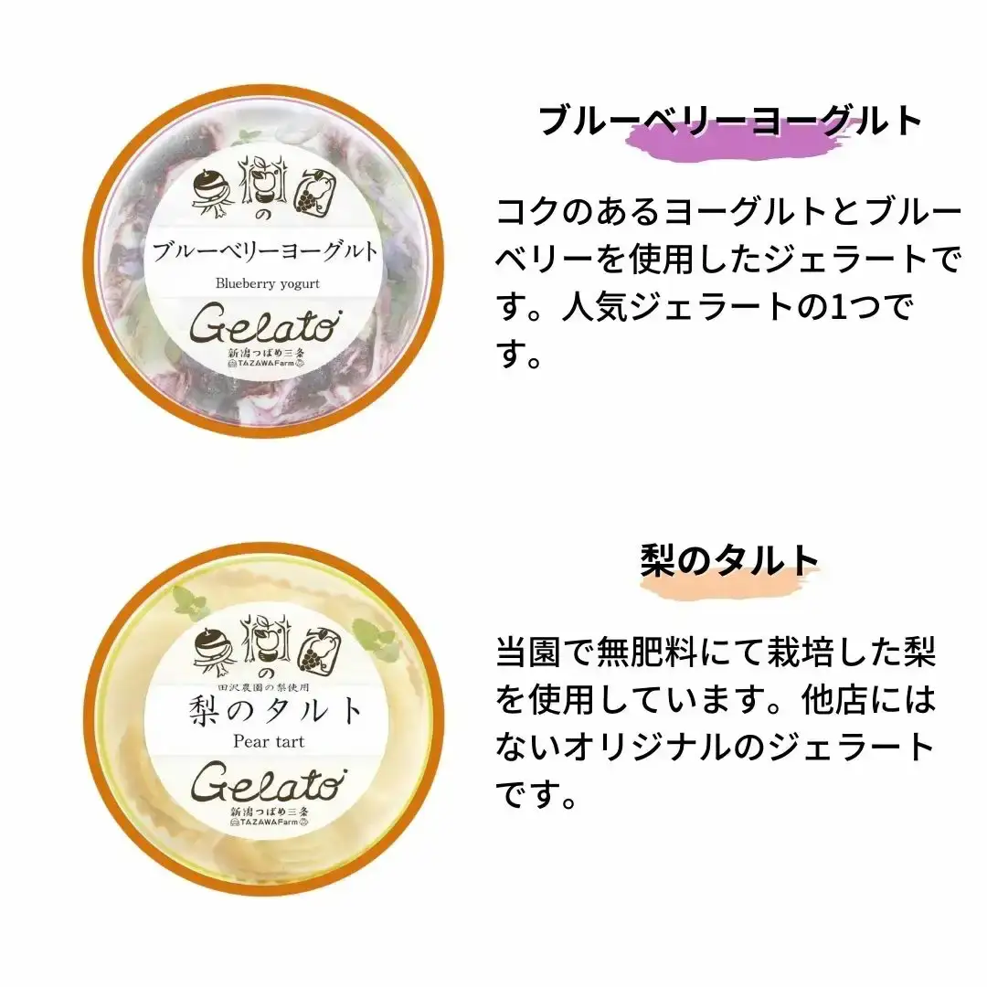 果樹園のジェラートセレクトvol.1 [6種×各2個] 合計12個セット ジェラート詰合せ アイス詰合せ [田沢農園] 【019S036】