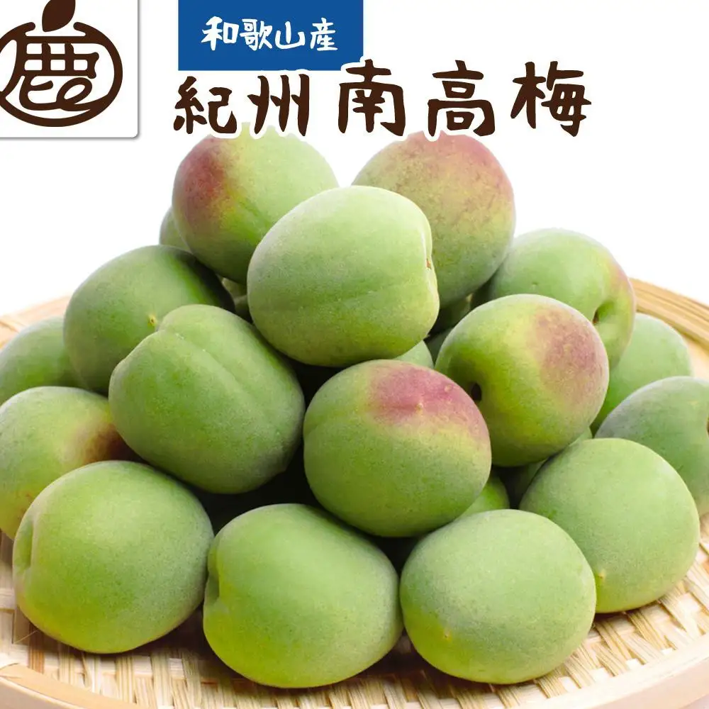 厳選 紀州南高梅(青梅)2kg+250g（傷み補償分）【梅干し・梅酒・梅ジュース】［IKE114］