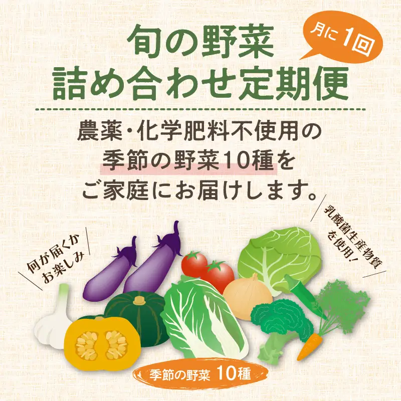 農業姉妹がこだわって栽培！旬の厳選野菜10種 1年定期便【024A-021】