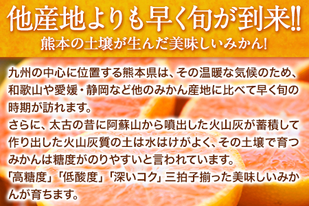  訳あり 大粒みかん 6kg  5L～3Lサイズ 《2027年1月中旬-2月末頃出荷》 みかん 訳ありみかん 熊本県産みかん 大容量