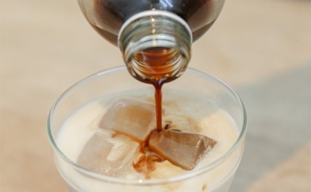 コーヒーシロップ 1本 250ml キノシタショウテン 飲料類 加工食品 加糖濃縮タイプ カフェオレ 