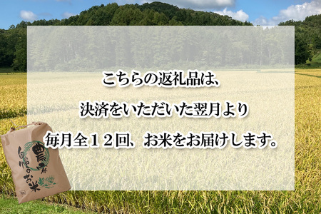 ＜ 定期便 12回 ＞ 北海道産 希少米 おぼろづき 白米 5kg 北海道 新ひだか町