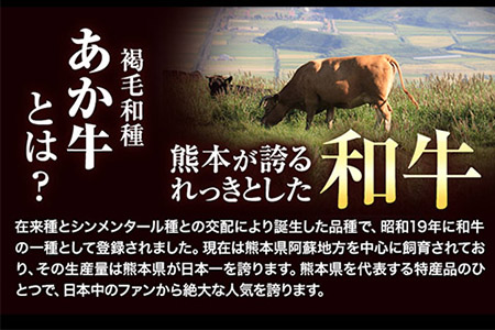 あか牛切り落とし 赤身スライス 1.1kg(275g×4パック)　赤身切り落としスライス 《30日以内に出荷予定(土日祝除く)》肉 牛肉 切り落とし 国産牛 切落とし ブランド牛 すき焼き スライス カレー 焼肉 小分け