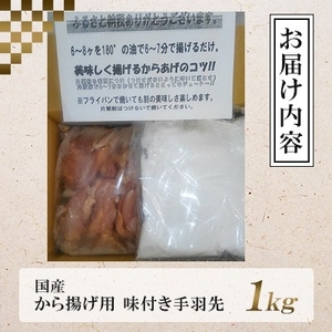 特製手羽先1kg 唐揚げ 唐揚げ NDM