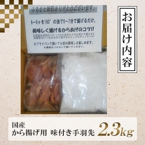 特製手羽先 2.3kg 唐揚げ｜唐揚げ NDM