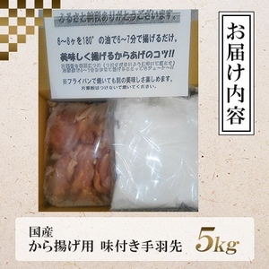 特製手羽先5kg 唐揚げ｜唐揚げ NDM