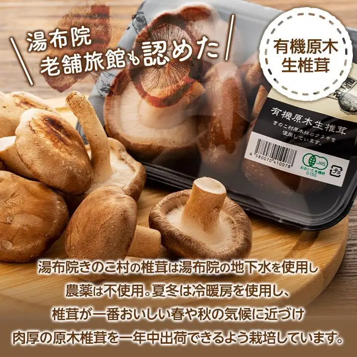 湯布院【有機原木椎茸】とシイタケペーストセット