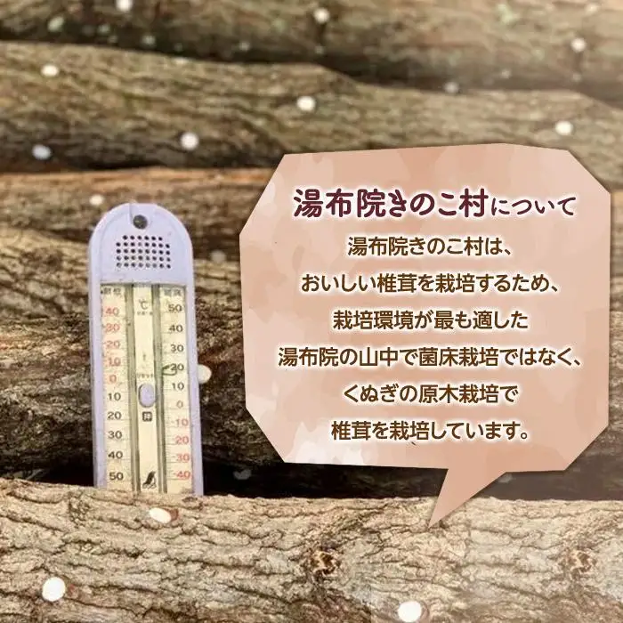 湯布院【有機原木椎茸使用】ミートキノコソース180g×2袋