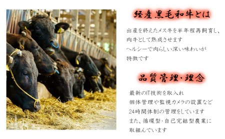 宮崎県産 黒毛和牛 サーロイン ステーキ 300g×3 計900g [サンアグリフーズ 宮崎県 美郷町 31ba0026]