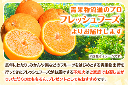 不知火 約 4.5kg～ 5kg みかん《2027年2月下旬-4月下旬頃出荷》熊本県産(荒尾市産含む) 柑橘 フルーツ フレッシュフーズ 不知火 果物 デコポン と同品種 送料無料 果物 シラヌヒ シラヌイ フレッシュフーズ 美味しい不知火 旬の不知火 ジューシー不知火 フルーツ不知火