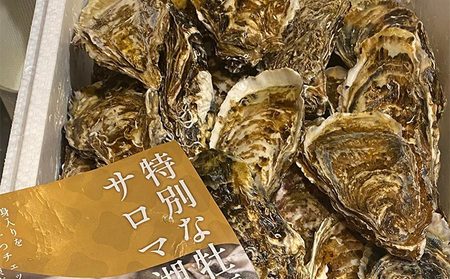 先行予約 北海道 オホーツク サロマ湖産 殻付き カキ 生食可 3.5kg 牡蠣職人厳選 牡蠣 国産 貝付き 魚貝類 生牡蠣 ノロウイルス検査実施 海のミルク 海鮮 海の幸 つまみ 晩酌 お酒のあて 