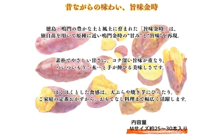 【予約受付中・2026年11月中旬頃より順次発送】鳴門市大津産　旨味金時 5kg　鳴門　ほくほく　天ぷら　焼き芋　スイーツ　さつまいも　
