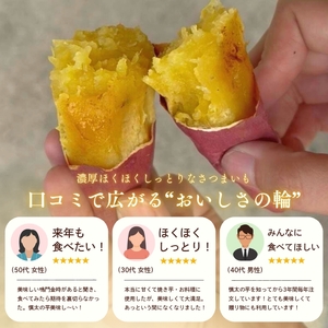 【予約受付中・2026年10月下旬頃より順次発送】鳴門市里浦産　慎太の芋 5kg　鳴門　ほくほく　ねっとり　天ぷら　焼き芋　スイーツ　さつまいも