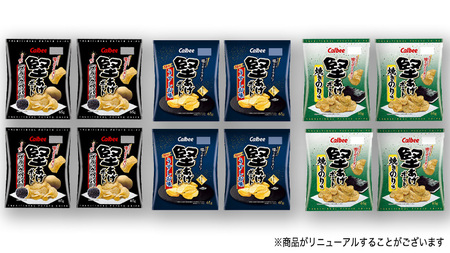 【 カルビー 3ヶ月 定期便 】 堅あげポテト 3種 各4袋 セット ( 計12袋 )