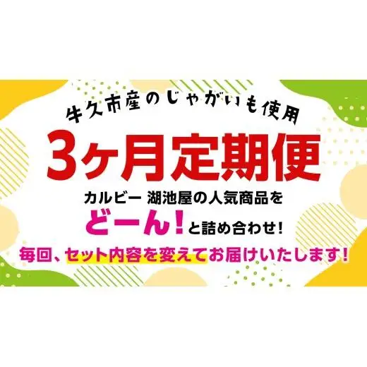スナック菓子 3ヶ月 定期便 】 カルビー 湖池屋 人気 48袋 詰め合わせ