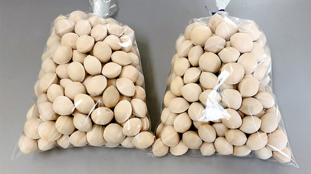 【 先行予約 】10月上旬以降発送 銀杏 ぎんなん 約1kg 殻付き Lサイズ 小分け