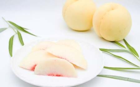 岡山白桃・晩生（ご家庭用）約2kg 6～9玉入り【2026年8月下旬 発送予定】【もも 桃 白桃 果物 フルーツ 国産 人気 おすすめ 岡山県 倉敷市】