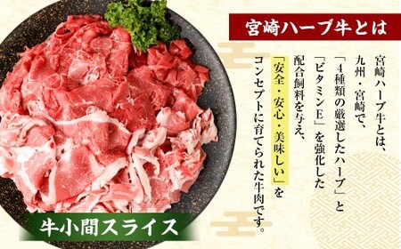 ＜宮崎ハーブ牛どんげねセット＞翌月末迄に順次出荷【c005_fw_x2】