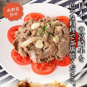 宮崎牛 切り落とし500g N0140-YA2294