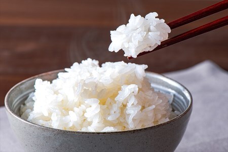 【田代農園】令和7年産 精米 10kg 田代さんのお米 銘柄おまかせ あきげしき ひのひかり こしひかり 産直 ノンブレンド米 単一原料 お米 白米 精白米 ヒノヒカリ コシヒカリ 熊本 阿蘇 小国町 産地直送 国産 日本産 地場産 贈答