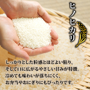 京都山城産ヒノヒカリ5kg 令和7年産　【米】