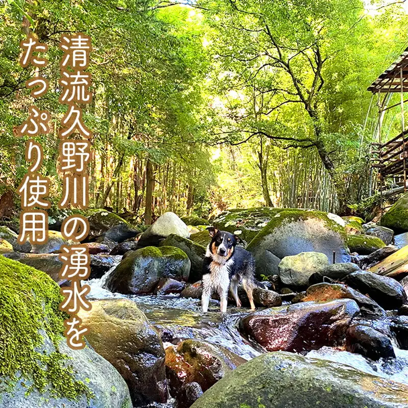 原木生椎茸と椎茸のソース&味噌&佃煮、椎茸の廃ホダを肥料に育ったみかんジャムのセット【家庭用 自宅用 贈答品 贈答用 ギフト お取り寄せ お中元 お歳暮 贈り物 お祝い 神奈川県 小田原市 しいたけ しいたけ】