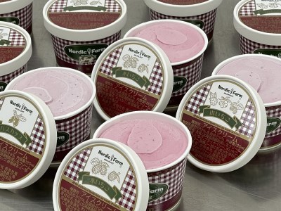  ～山いちご&木いちご&ハスカップ～ 自然な野山の果実アイスクリーム120ml　3種類合計12個 ( ふるさと納税 アイスクリーム 北海道産 生クリーム 使用 ベリー系 スイーツ デザート 冷凍スイーツ 北海道 遠軽町 ノルディックファーム ) en01-00088