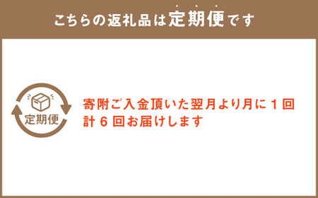 【定期便 6回】”松竹梅の竹セット”届いたら、いつもの花瓶に入れるだけ！ 簡単管理 の おしゃれ ブーケ ♪初回 花瓶 付き、毎回延命剤付き！！ 花 生花 花束