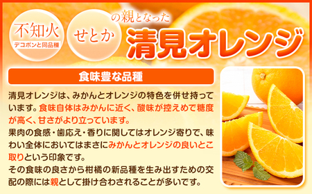 清見オレンジ 5kg ときわオンライン《2027年1月中旬-4月上旬頃出荷》 和歌山県 紀の川市 フルーツ 果物 清見 オレンジ 柑橘 送料無料