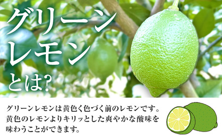 グリーンレモン 約5kg ときわオンライン【先行予約】《2026年10月上旬-2027年2月末頃出荷》 柑橘 和歌山県 紀の川市 フルーツ 果物 レモン グリーンレモン 檸檬 送料無料
