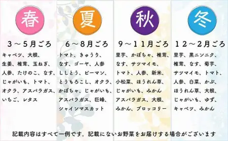 【福岡八女・奥八女】里山の恵み　お野菜＆手仕込みセット定期便【全３回】※配送不可：北海道と離島（沖縄本島を含む） 072-T065