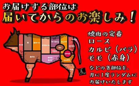 【福岡の国産黒毛和牛】博多和牛の焼肉・BBQお楽しみ定期便【全１２回】　072-T062