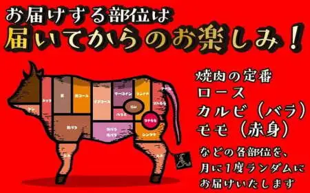 【福岡の国産黒毛和牛】博多和牛の焼肉・BBQお楽しみ定期便【全６回】　072-T063
