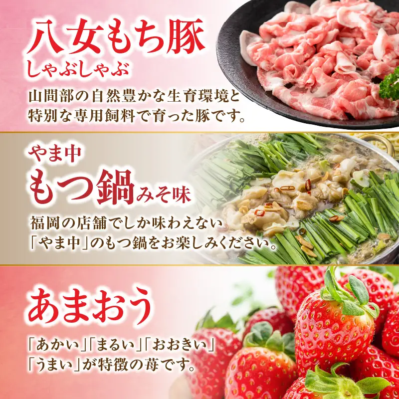 和牛と福岡・八女のうまかもんが届く お楽しみ贅沢極み定期便【全12回】～八女つきコース～｜＜配送不可：北海道・沖縄・離島＞ 072-T060