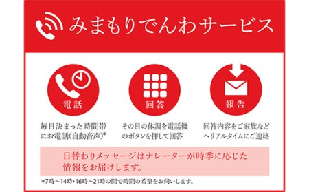 みまもりでんわサービス（携帯電話3か月） F4D-0498
