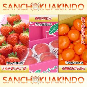 【定期便3回Aコース】 フルーツ セット 定期便 ( いちご 約250g × 4パック & 桃 約2kg & みかん 約5kg × 3ヶ月 )  ｜産直あきんど 坂出産 創業100年