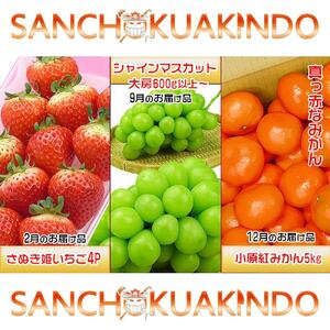【定期便3回Bコース】 フルーツ セット 定期便 ( いちご 約250g × 4パック & シャインマスカット 1房 約600g以上 & みかん 約5kg × 3ヶ月 ) ｜産直あきんど 坂出産 創業100年