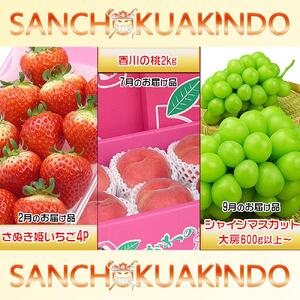 【定期便3回Cコース】 フルーツ セット 定期便 ( いちご 約250g × 4パック & 桃 約2kg & シャインマスカット 1房 約600g以上 × 3ヶ月 ) ｜産直あきんど 坂出産 創業100年