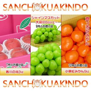 【定期便3回Dコース】 フルーツ セット 定期便 ( 桃 約2kg & シャインマスカット 1房 約600g以上 & みかん 5kg × 3ヶ月 ) ｜産直あきんど 坂出産 創業100年